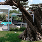 Photo n°4 de l'avis de Stefano.a fait le 11/08/2019 à 14:21 sur le  K-Farm Resort à Fondo Muri