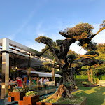 Photo n°3 de l'avis de Anna.a fait le 02/09/2018 à 15:56 sur le  La Scuderia à Abano Terme