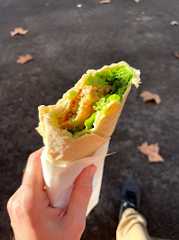 Chawarma du Restaurant libanais Falafel à Antibes - n°3