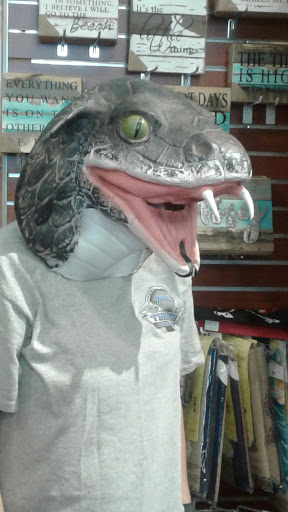 Outdoor Sports Store «Kitty Hawk Kites», reviews and photos, 324 Laskin Rd, Virginia Beach, VA 23451, USA