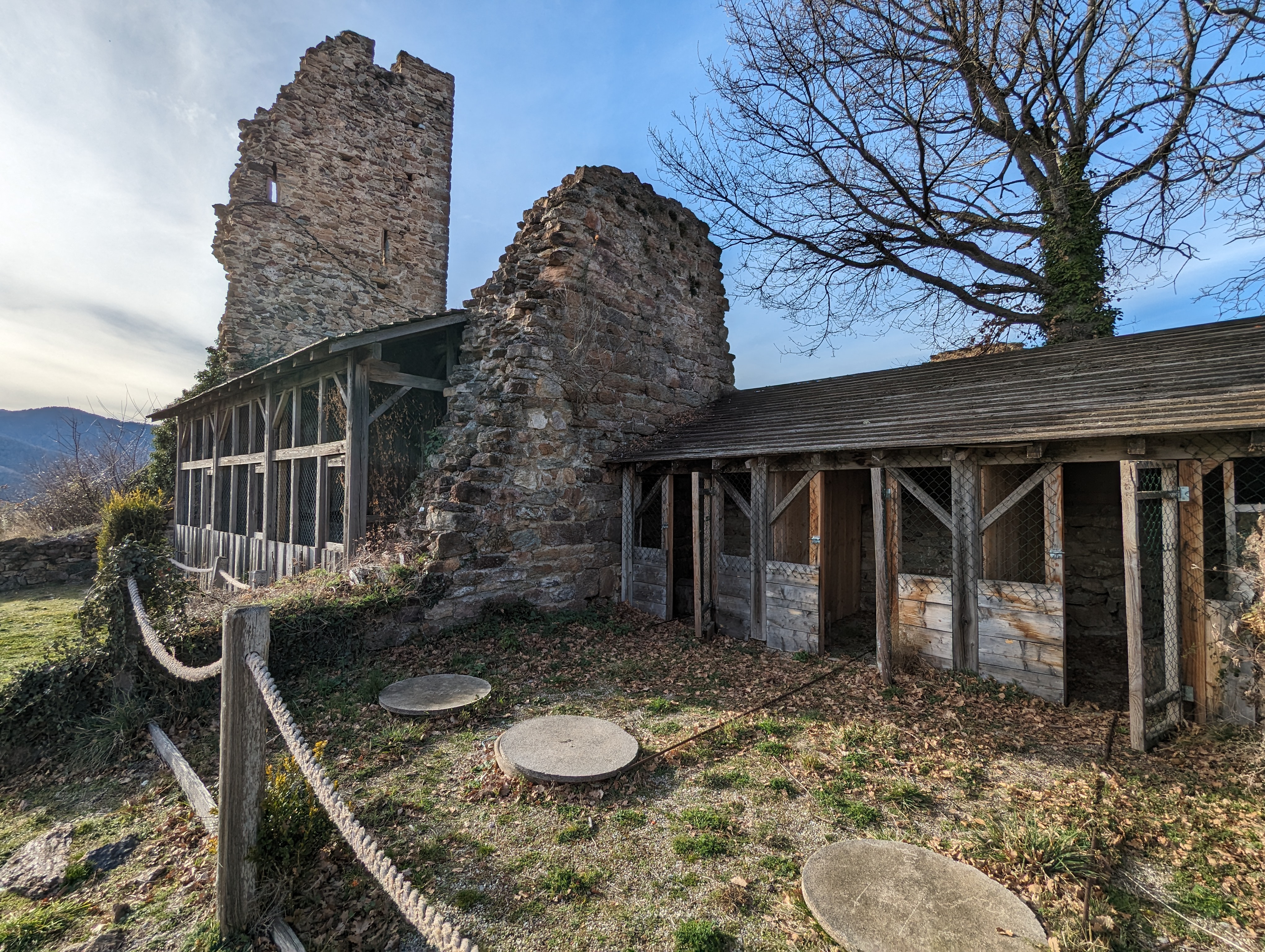 Photo n° 2 de l'avis de Mat.. fait le 21/02/2024 à 08:08