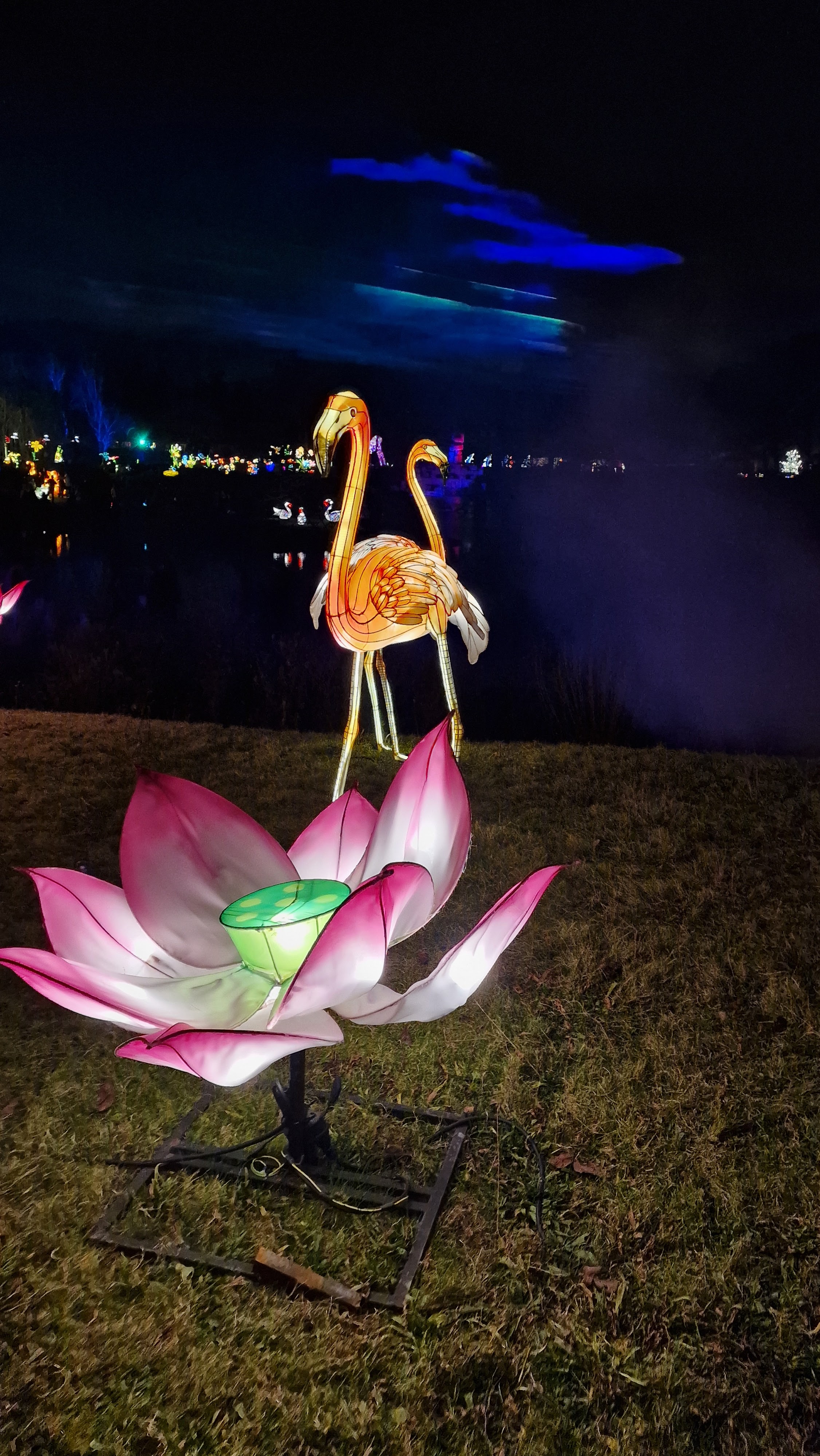 Photo n° 14 de l'avis de Marie.i fait le 29/12/2023 à 15:13