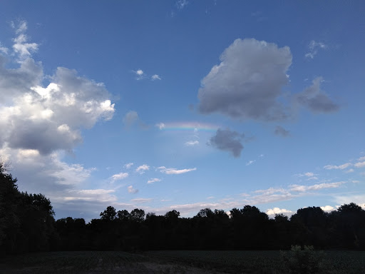 Golf Course «Spencer T Olin Golf Course», reviews and photos, 4701 College Ave, Alton, IL 62002, USA