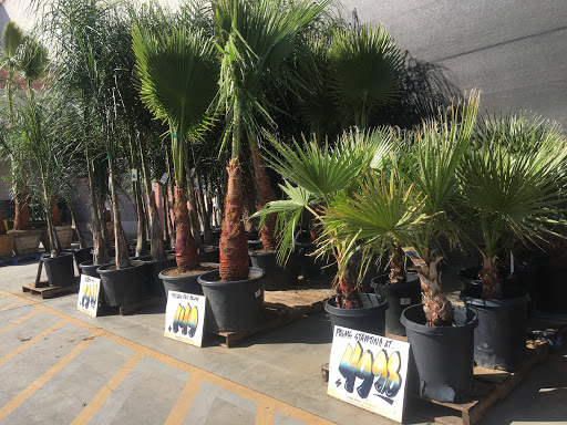 Home Improvement Store «The Home Depot», reviews and photos, 79900 CA-111, La Quinta, CA 92253, USA