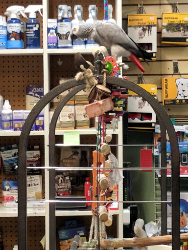 Pet Store «All About Pets LLC», reviews and photos, 52567 Columbia River Hwy, Scappoose, OR 97056, USA