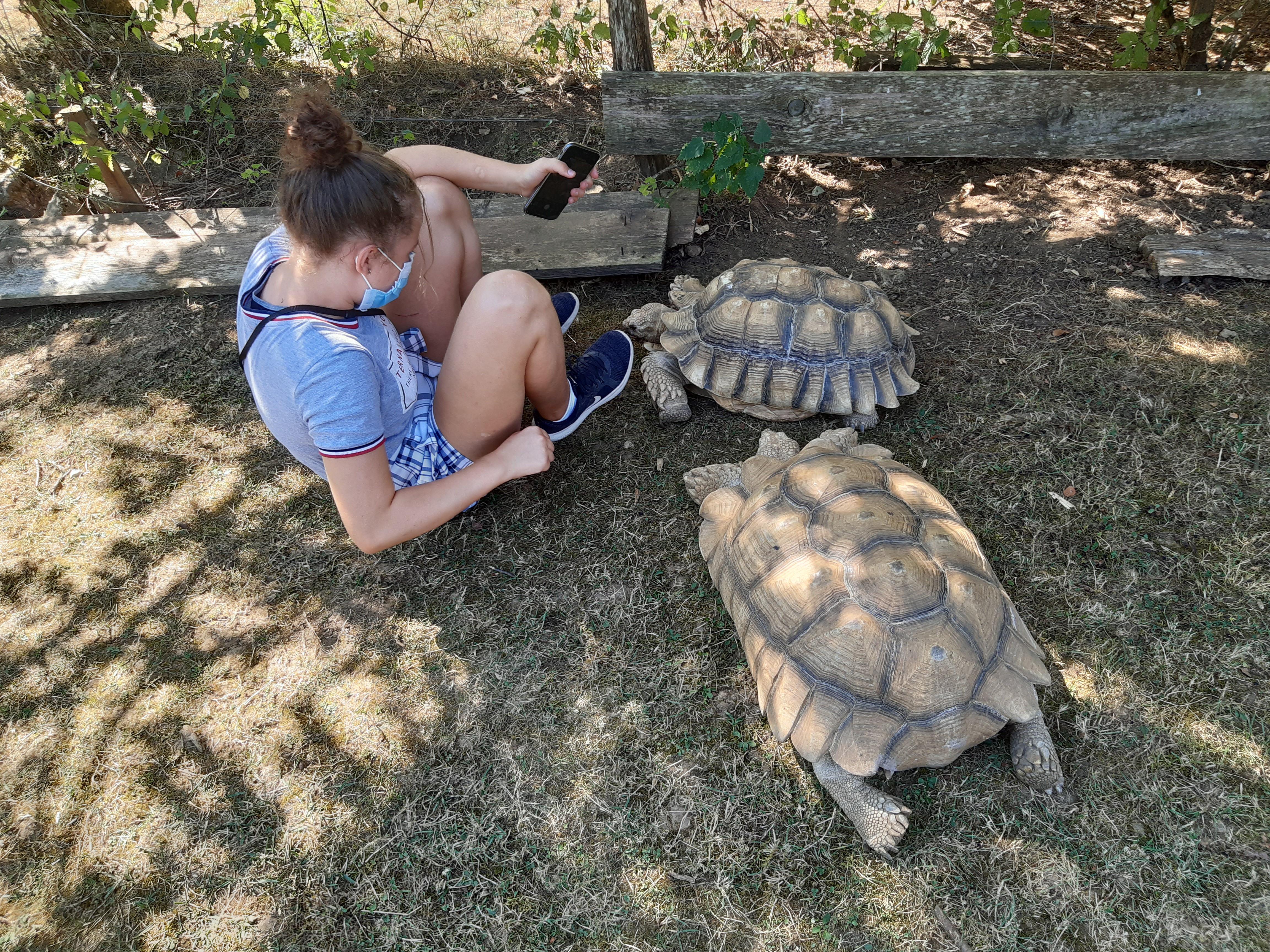 Photo n° 1 de l'avis de helene.o fait le 16/08/2020 à 09:34