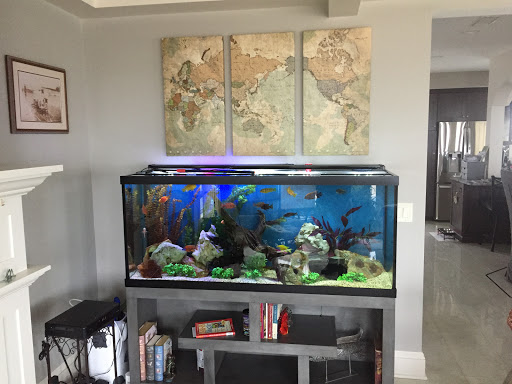 Pet Store «Fish Bowl Aquarium & Pet Mart», reviews and photos, 725 Providence St, West Warwick, RI 02893, USA