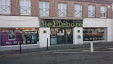 Salon de coiffure Hellebore Coiffure 59810 Lesquin