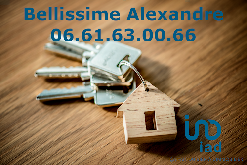Agence immobilière Alexandre Bellissime - IAD France Vence
