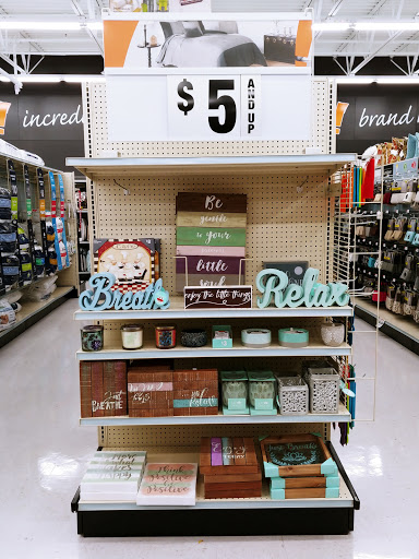 Discount Store «Big Lots», reviews and photos, 204 S Randall Rd, Elgin, IL 60123, USA