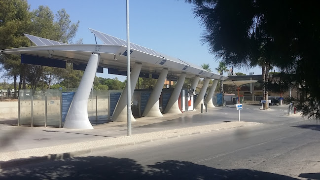 Planeta Azul Lavagem Auto - Loulé