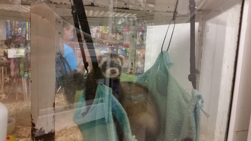 Pet Store «All Pets Club», reviews and photos, 405 Queen St, Southington, CT 06489, USA