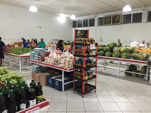 Logo da empresa - Direto do Campo
