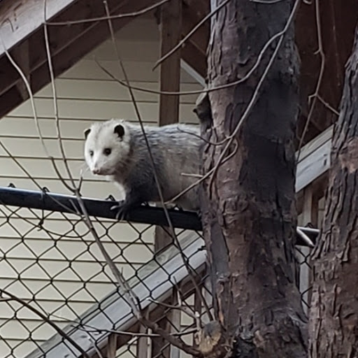 Pet Supply Store «Petco Animal Supplies», reviews and photos, 1694 Boston Rd, Springfield, MA 01129, USA