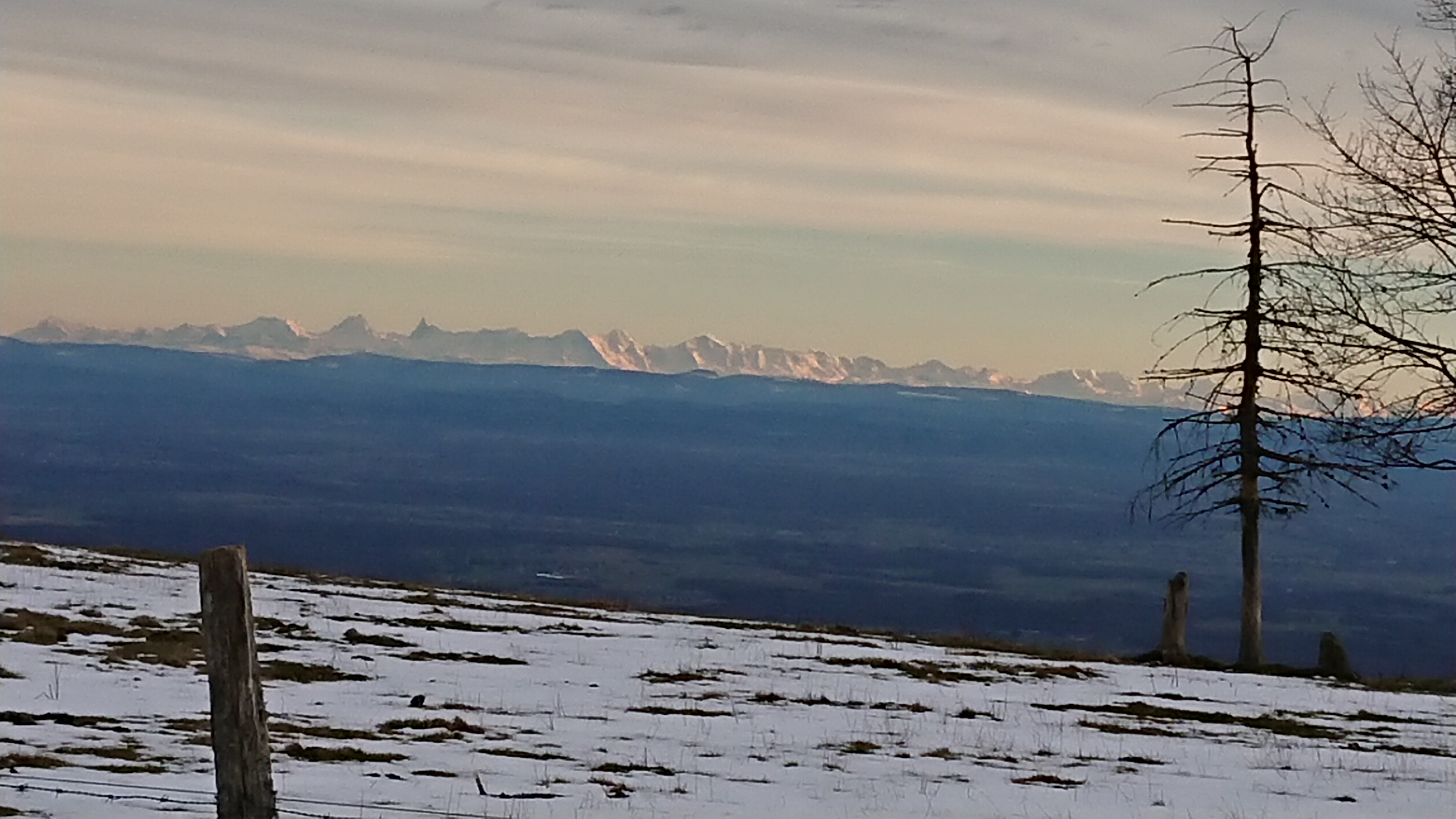 Photo n° 1 de l'avis de gilles.r fait le 24/02/2020 à 15:12