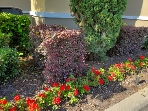 Supermarket «Publix Super Market Plaza Inverness», reviews and photos, 1012 W Main St, Inverness, FL 34450, USA