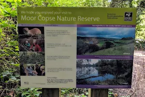 Moor Copse Nature Reserve image
