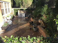 Dana Pacific Landscape Inc - Photo 8 - Car repair in San Juan Capistrano, CA, Mission Viejo