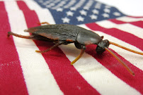 Lewis Exterminating Cleveland - Photo 6 - Car repair in , Cleveland