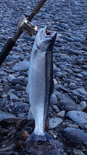 Sporting Goods Store «Chetco Outdoor Store», reviews and photos, 16220 W Hoffeldt Ln, Brookings, OR 97415, USA