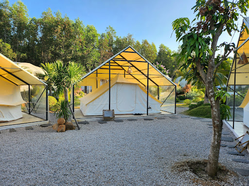 The Oasis Glamping