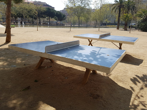 Mesa ping pong