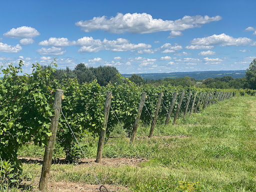 Winery «Hosmer Winery», reviews and photos, 7020 NY-89, Ovid, NY 14521, USA