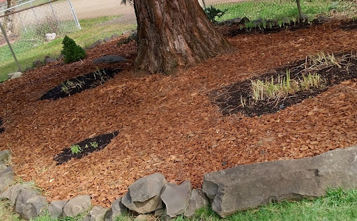 Animal Feed Store «Wilco Farm Store», reviews and photos, 2950 S Santiam Hwy, Lebanon, OR 97355, USA