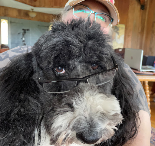 God's Creatures Animal Hospital image