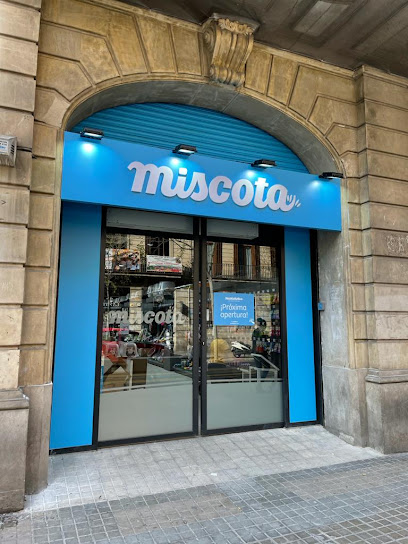 Miscota - Servicios para mascota en Barcelona