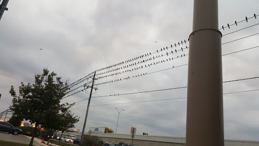 Fast Food Restaurant «Chick-fil-A», reviews and photos, 2213 S Interstate 35, San Marcos, TX 78666, USA