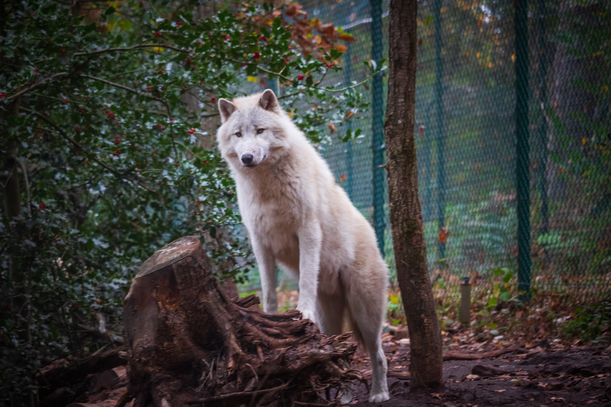 Photo n° 2 de l'avis de Ricou.H fait le 28/10/2020 à 16:42