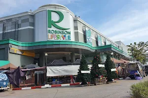 Robinson image