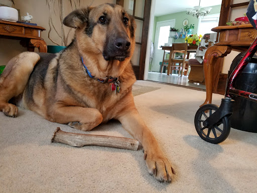 Pet Supply Store «Petco Animal Supplies», reviews and photos, 2255 East Ridge Road, Irondequoit, NY 14622, USA