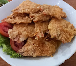 Canton Chinese Food photo