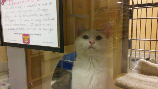 Pet Supply Store «PetSmart», reviews and photos, 1232 Hooper Ave, Toms River, NJ 08753, USA