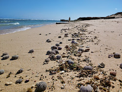 Foto af Jims Beach med turkis rent vand overflade