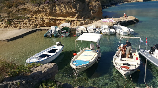 Paralia Pesada II