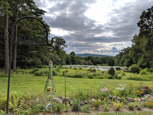 Winery «Queen Bee Vineyard», reviews and photos, 173 Moulton Hill Rd, Monson, MA 01057, USA