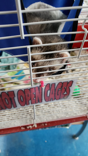 Pet Store «V.I. Pets», reviews and photos, 11975 E Lakewood Blvd, Holland, MI 49424, USA