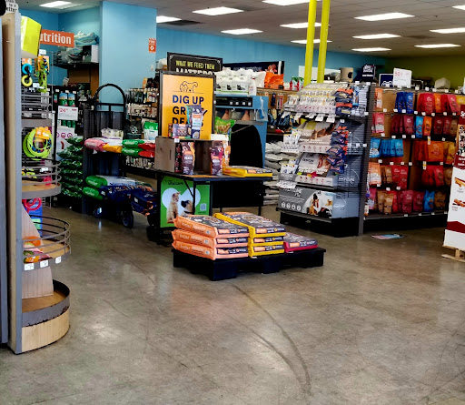Pet Supply Store «Unleashed by Petco», reviews and photos, 699 Lewelling Blvd #168, San Leandro, CA 94579, USA