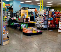 Unleashed by Petco - Photo 1 - Car repair in San Leandro, CA, Oakland