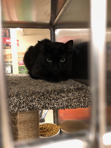 Pet Supply Store «PetSmart», reviews and photos, 310 N White Horse Pike, Lawnside, NJ 08045, USA