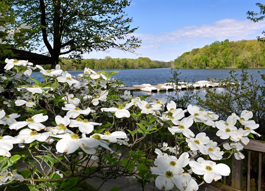 Chain O Lakes State Park