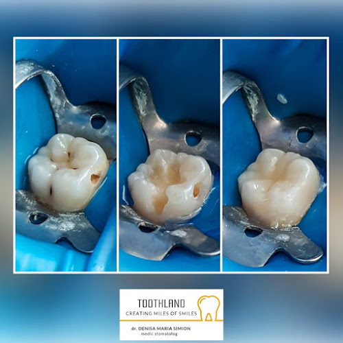 Cabinet stomatologic Toothland- Dr. Denisa Maria Simion - <nil>