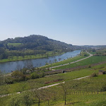 Photo n°4 de l'avis de Franck.e fait le 21/04/2019 à 18:01 sur le  Hotel Ristorante Pizzeria Löwener Mühle Da Capris à Langsur