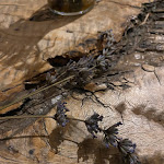 Photo n°2 de l'avis de Raffaella.o fait le 04/09/2023 à 07:12 sur le  Tenuta di Castiglione à Scontrone