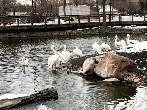 Tourist Attraction «Tracy Aviary», reviews and photos, 589 1300 S, Salt Lake City, UT 84105, USA