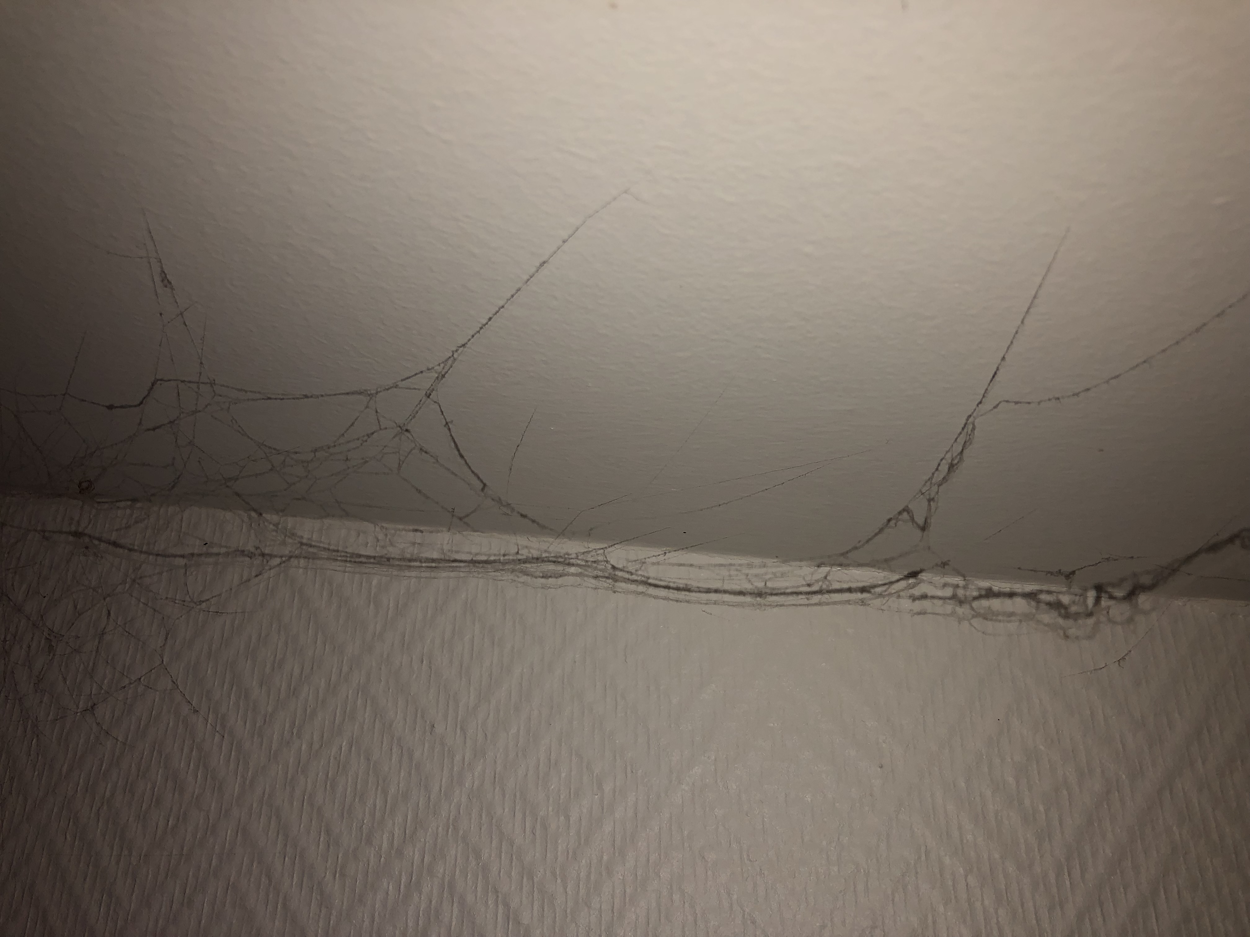 Photo n° 1 de l'avis de bruno.a fait le 17/09/2022 à 19:25