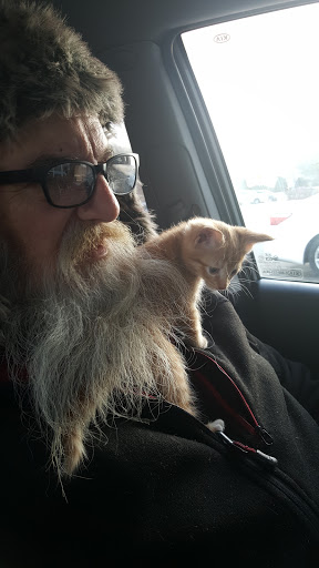 Pet Supply Store «Petco Animal Supplies», reviews and photos, 438 Southbridge St, Auburn, MA 01501, USA